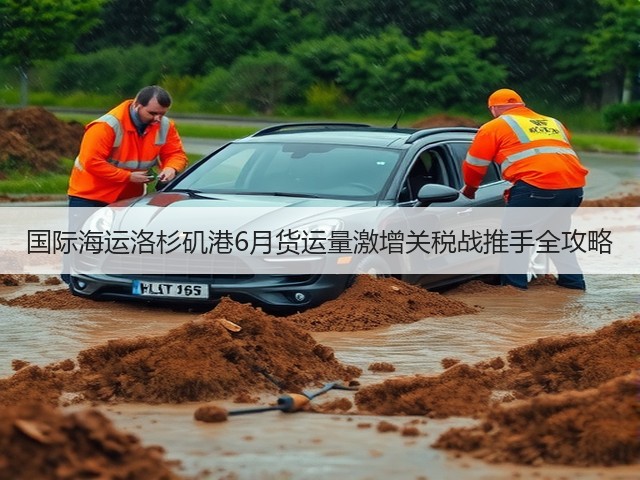 国际海运洛杉矶港6月货运量激增关税战推手全攻略(图2)