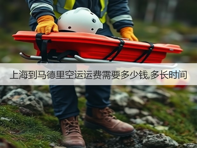 上海到马德里空运运费需要多少钱,多长时间(图2) 上海到马德里空运运费需要多少钱,多长时间(图2)