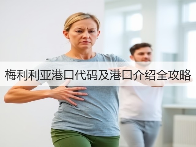 梅利利亚港口代码及港口介绍全攻略(图1)