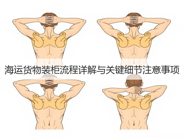 海运货物装柜流程详解与关键细节注意事项(图1)