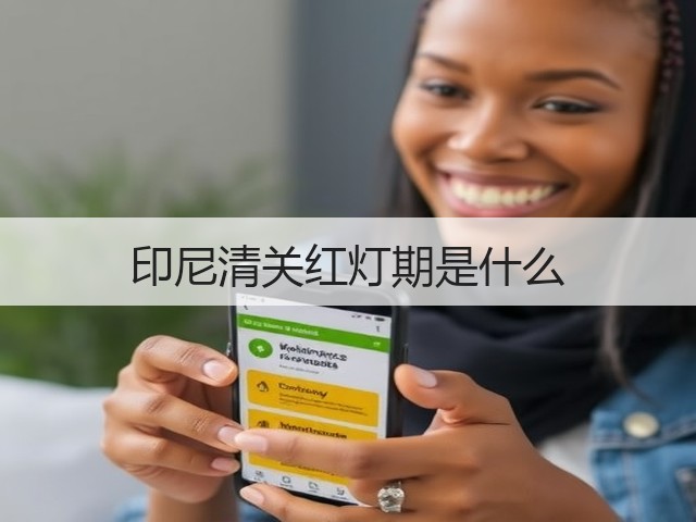印尼清关红灯期是什么(图2)