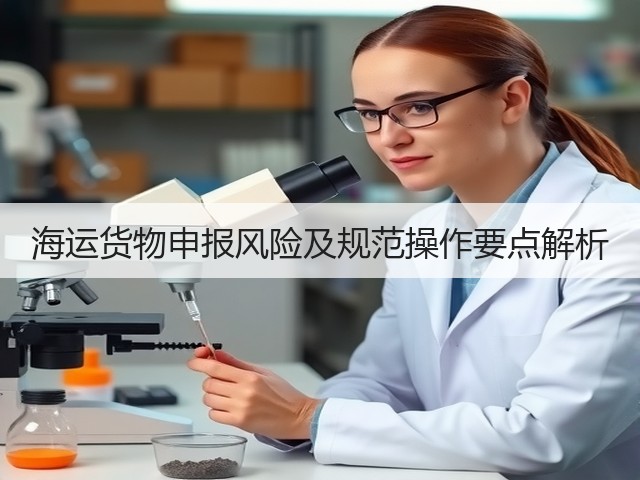 海运货物申报风险及规范操作要点解析(图2) 海运货物申报风险及规范操作要点解析(图2)