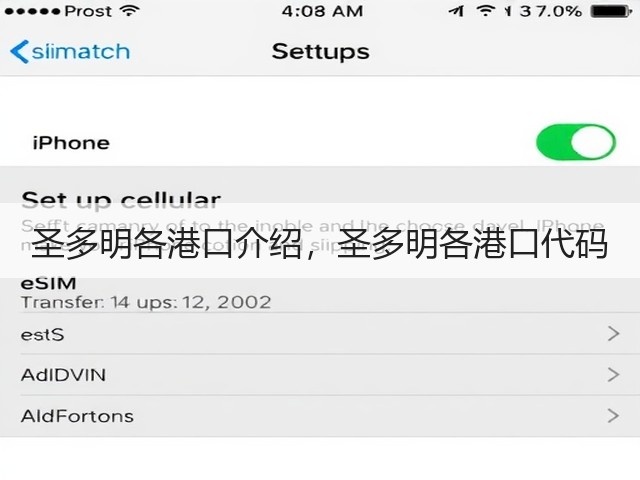 圣多明各港口介绍，圣多明各港口代码(图1)