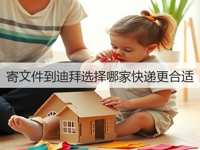 寄文件到迪拜选择哪家快递更合适(图3) 寄文件到迪拜选择哪家快递更合适(图3)