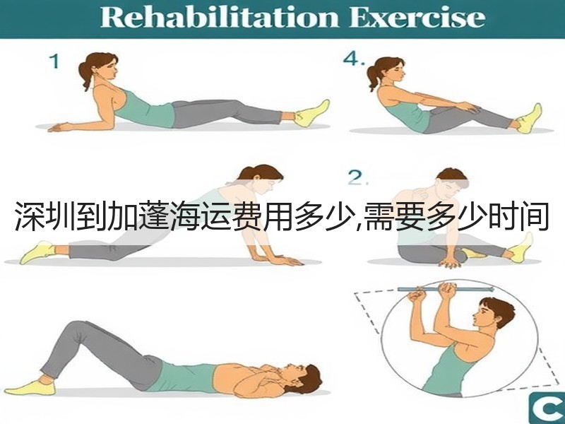 深圳到加蓬海运费用多少,需要多少时间