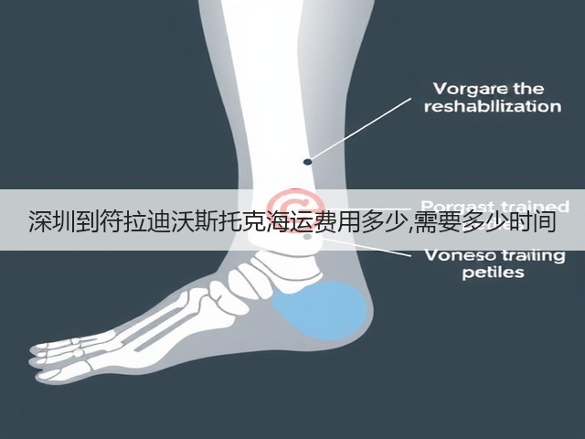 深圳到符拉迪沃斯托克海运费用多少,需要多少时间(图1)