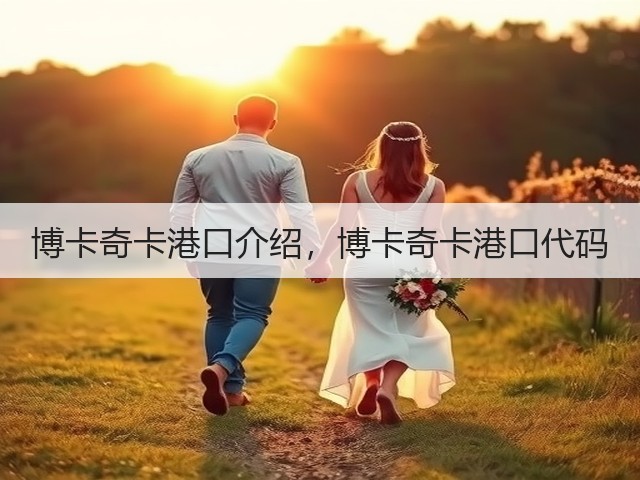 博卡奇卡港口介绍，博卡奇卡港口代码(图1)