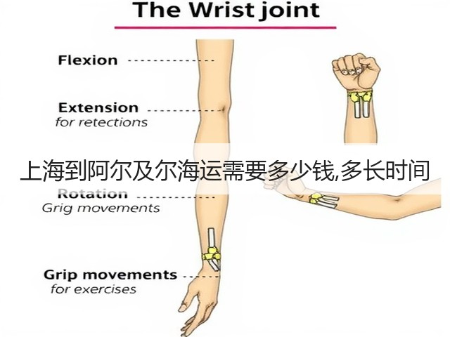 上海到阿尔及尔海运需要多少钱,多长时间(图1)