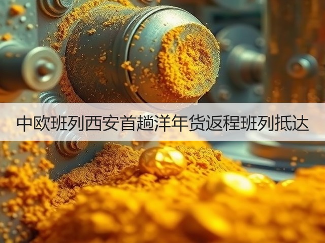 中欧班列西安首趟洋年货返程班列抵达(图1) 中欧班列西安首趟洋年货返程班列抵达(图1)