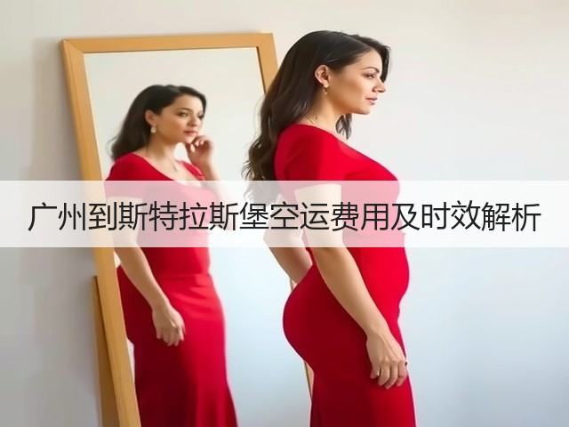 广州到斯特拉斯堡空运费用及时效解析(图2)