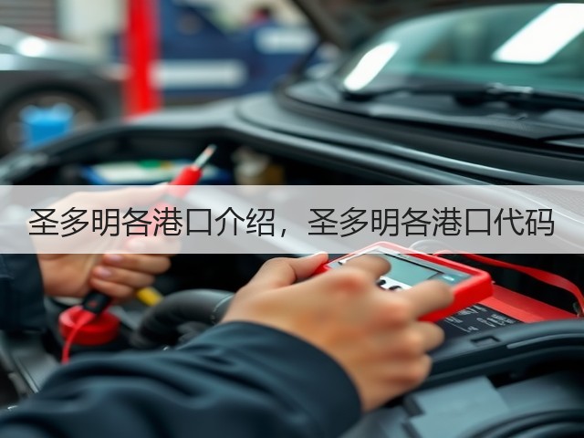 圣多明各港口介绍，圣多明各港口代码(图2)