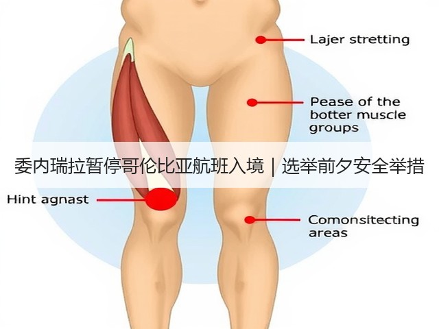 委内瑞拉暂停哥伦比亚航班入境｜选举前夕安全举措(图1)