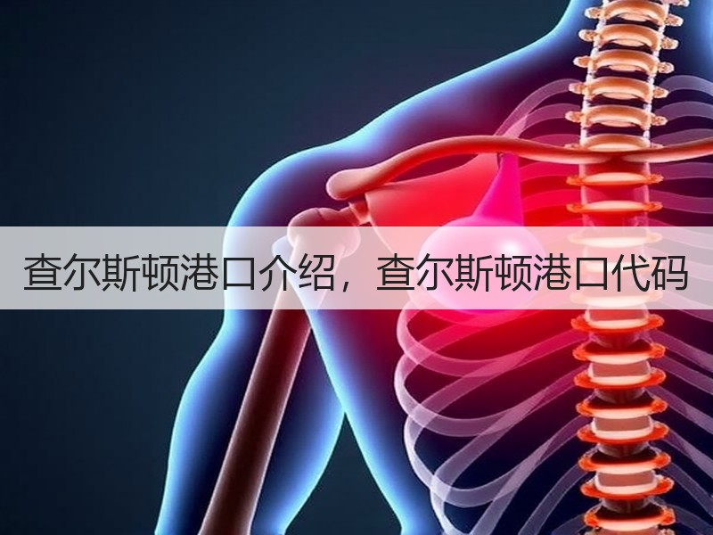 查尔斯顿港口介绍，查尔斯顿港口代码