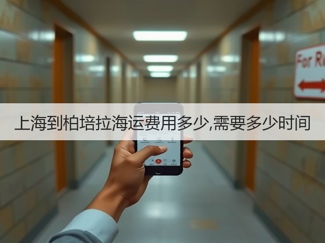 上海到柏培拉海运费用多少,需要多少时间(图1)