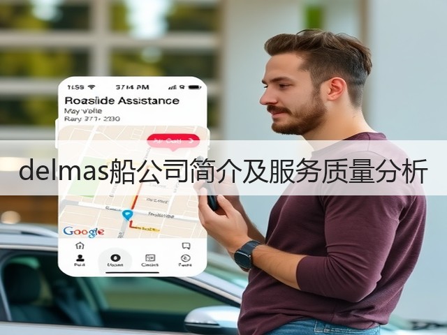 delmas船公司简介及服务质量分析(图2)
