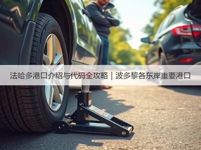 法哈多港口介绍与代码全攻略｜波多黎各东岸重要港口(图1)