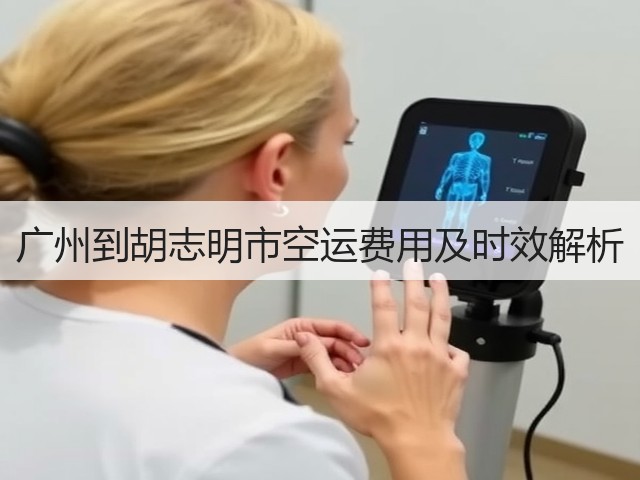 广州到胡志明市空运费用及时效解析(图1)