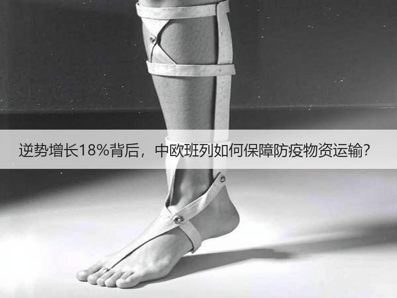 逆势增长18%背后,中欧班列如何保障防疫物资运输? 逆势增长18%背后,中欧班列如何保障防疫物资运输?