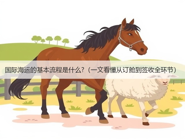国际海运的基本流程是什么?（一文看懂从订舱到签收全环节）(图3)