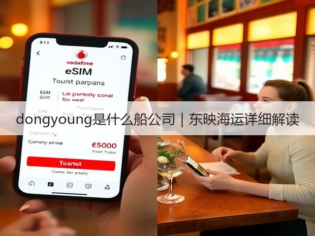 dongyoung是什么船公司｜东映海运详细解读(图3)