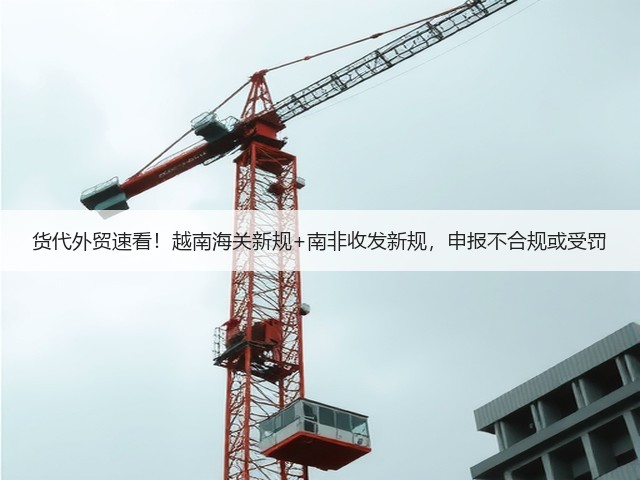 货代外贸速看！越南海关新规+南非收发新规，申报不合规或受罚(图3)