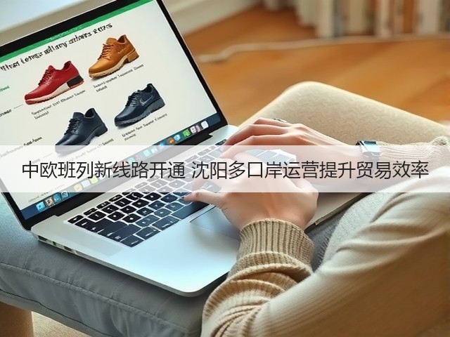 中欧班列新线路开通 沈阳多口岸运营提升贸易效率(图2)