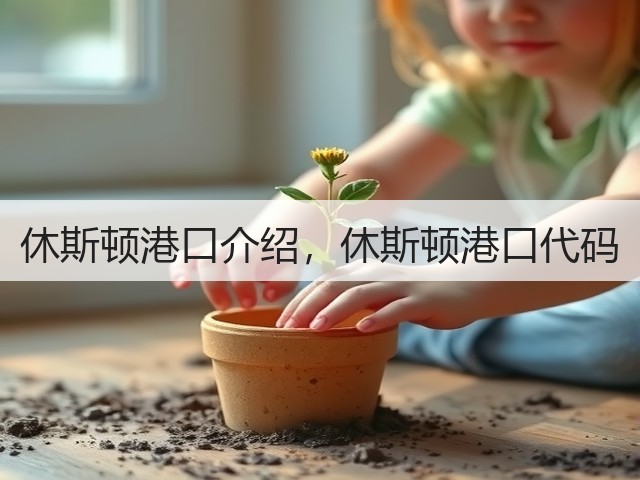 休斯顿港口介绍，休斯顿港口代码(图3)