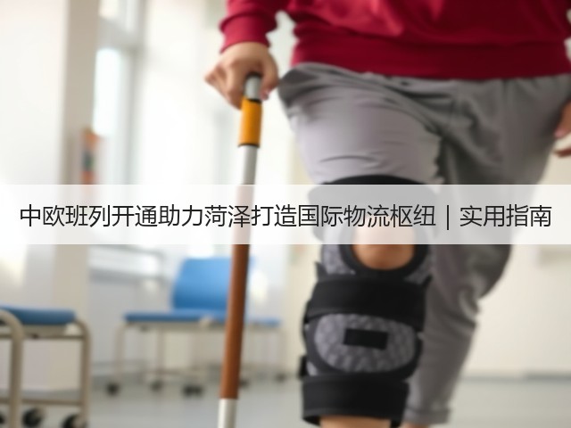 中欧班列开通助力菏泽打造国际物流枢纽｜实用指南(图1)