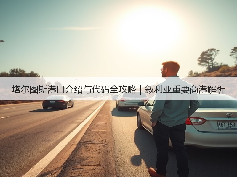塔尔图斯港口介绍与代码全攻略｜叙利亚重要商港解析
