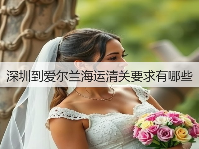 深圳到爱尔兰海运清关要求有哪些(图1) 深圳到爱尔兰海运清关要求有哪些(图1)