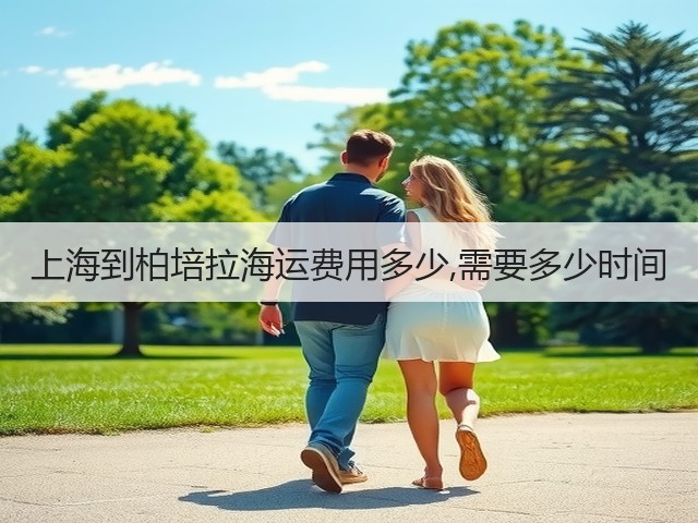 上海到柏培拉海运费用多少,需要多少时间(图3)