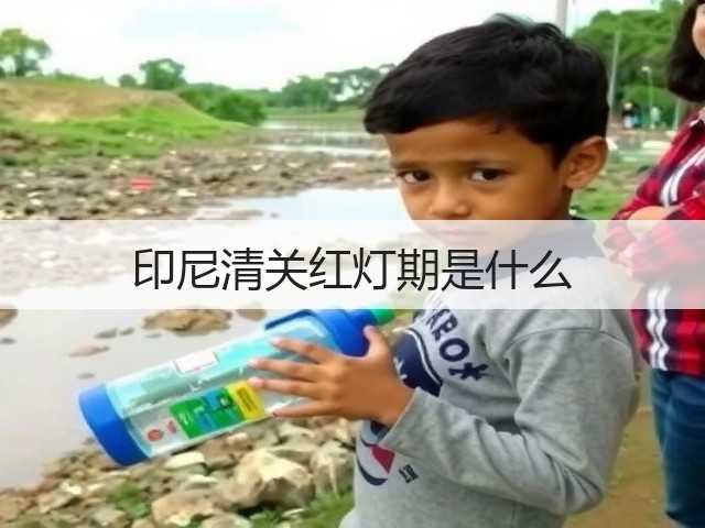印尼清关红灯期是什么(图3)