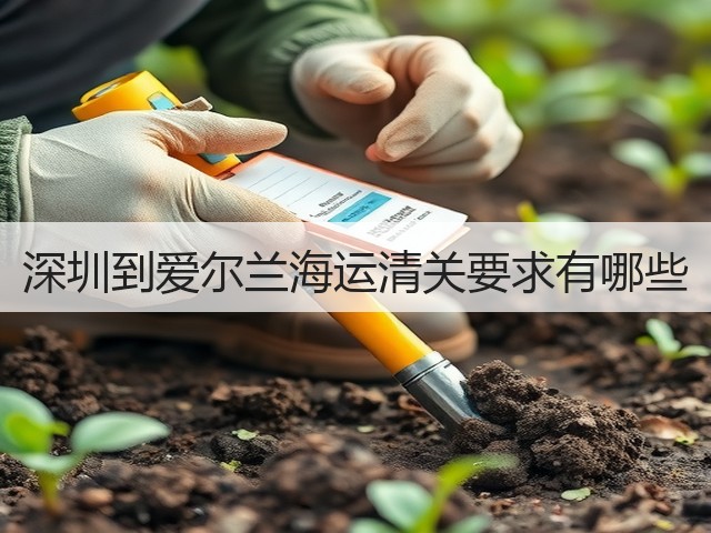 深圳到爱尔兰海运清关要求有哪些(图3)