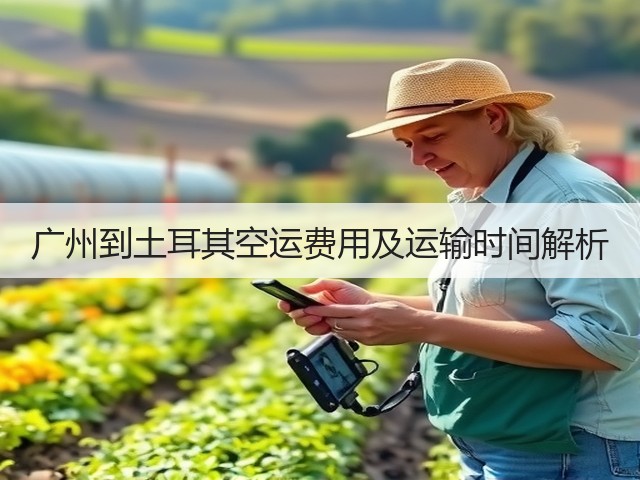 广州到土耳其空运费用及运输时间解析(图3)