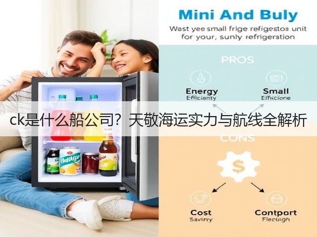ck是什么船公司？天敬海运实力与航线全解析(图2)