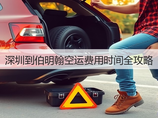 深圳到伯明翰空运费用时间全攻略(图3)