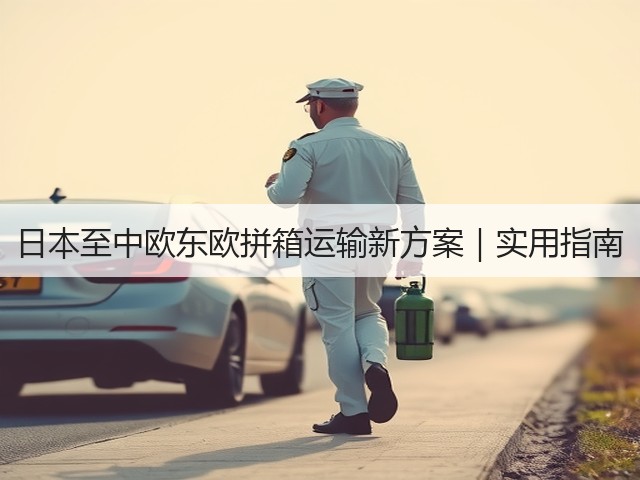 日本至中欧东欧拼箱运输新方案｜实用指南(图2)