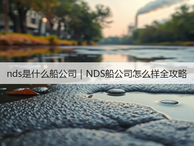 nds是什么船公司｜NDS船公司怎么样全攻略(图2)