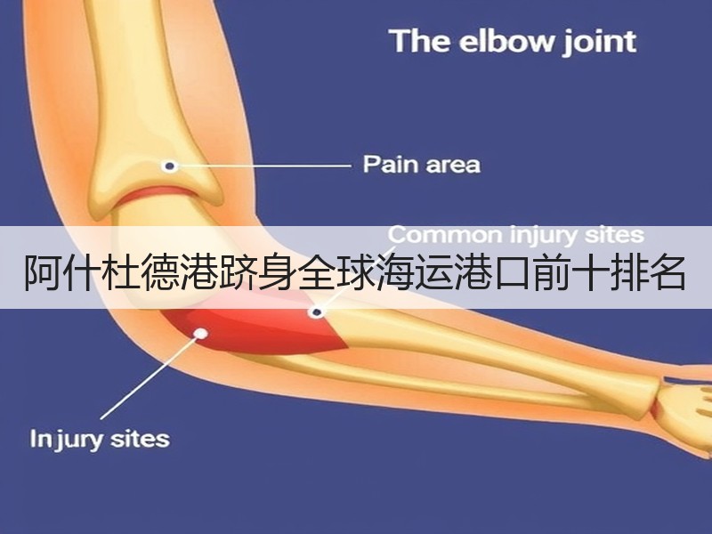 阿什杜德港跻身全球海运港口前十排名