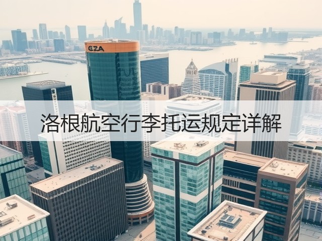洛根航空行李托运规定详解(图2)