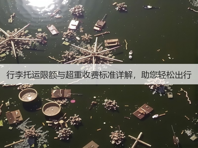 行李托运限额与超重收费标准详解，助您轻松出行