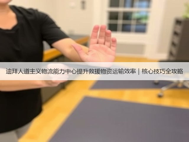 迪拜人道主义物流能力中心提升救援物资运输效率｜核心技巧全攻略(图2)
