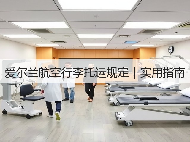 爱尔兰航空行李托运规定｜实用指南(图1)