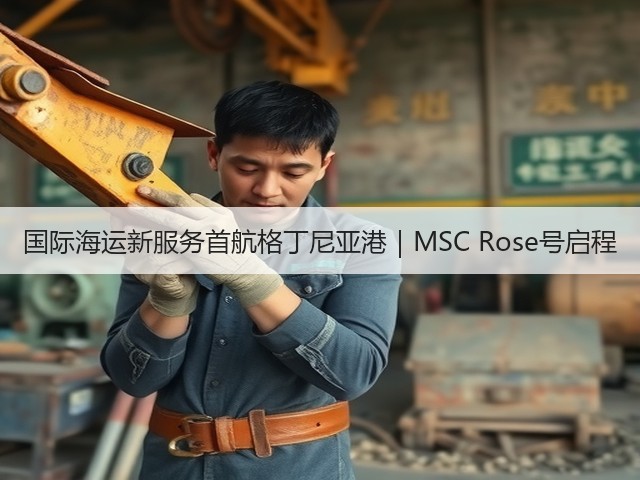 国际海运新服务首航格丁尼亚港｜MSC Rose号启程(图3)