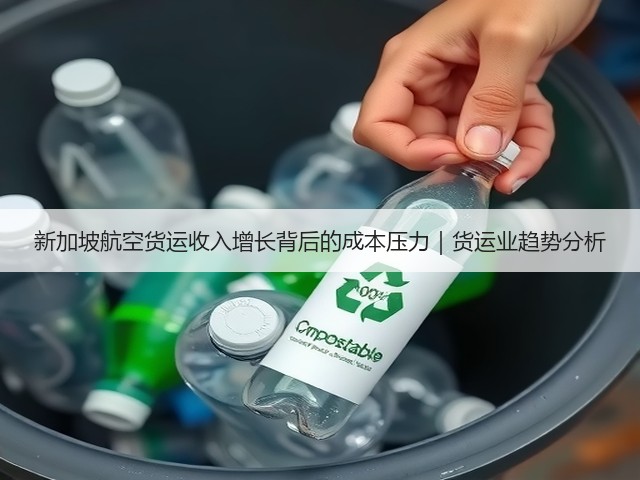 新加坡航空货运收入增长背后的成本压力｜货运业趋势分析(图3)