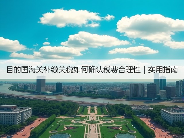 目的国海关补缴关税如何确认税费合理性|实用指南(图3) 目的国海关补缴关税如何确认税费合理性|实用指南(图3)