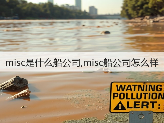 misc是什么船公司,misc船公司怎么样(图2)
