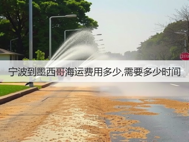 宁波到墨西哥海运费用多少,需要多少时间(图1)