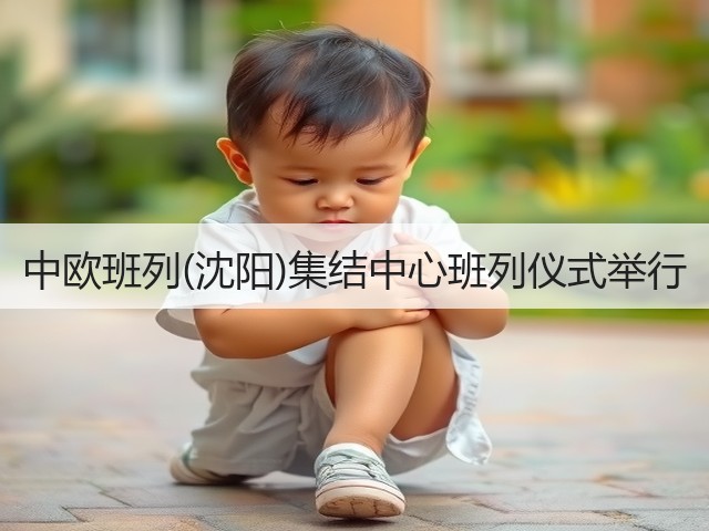 中欧班列(沈阳)集结中心班列仪式举行(图3)