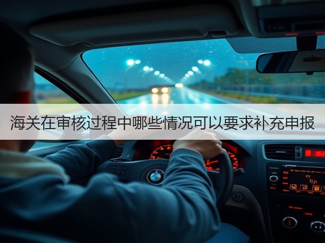 海关在审核过程中哪些情况可以要求补充申报(图2)